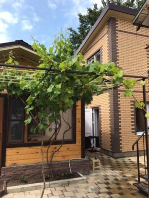 Guest House Severyanin
